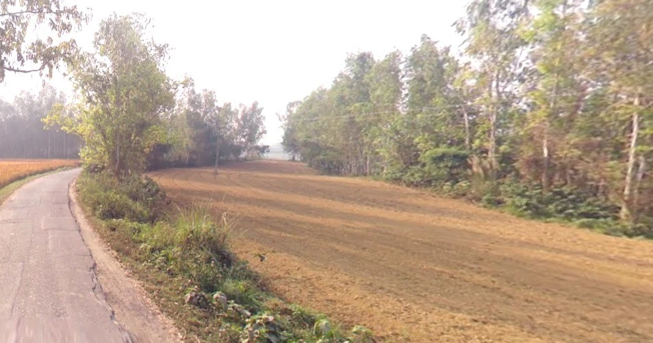 75X8+FFG, Barkheda, Piplya, Madhya Pradesh 473287, India