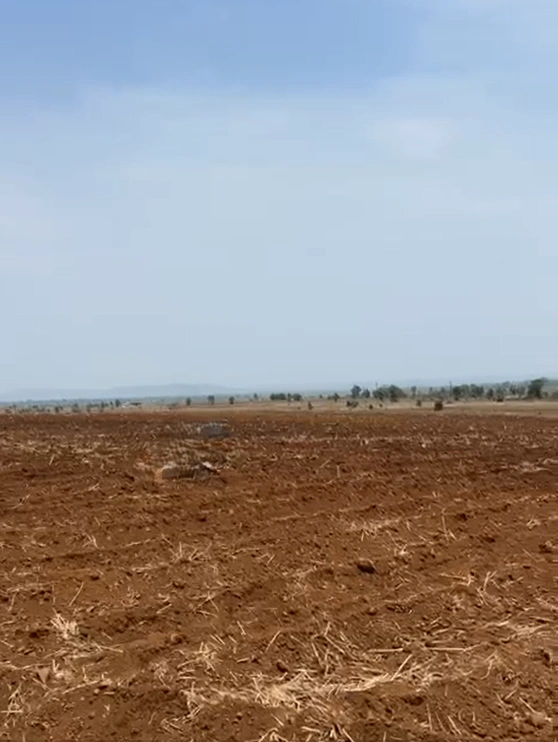 2VVM+XR6, Dindori, Singarpur Mal., Madhya Pradesh 481879, India