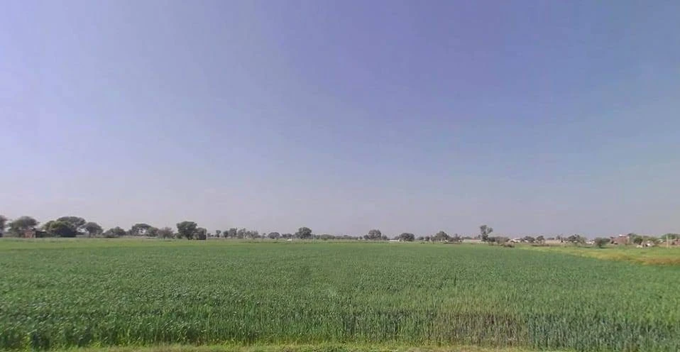 Chidwai, Rajasthan 301026, India