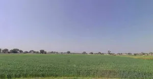 Chidwai, Rajasthan 301026, India preview 2