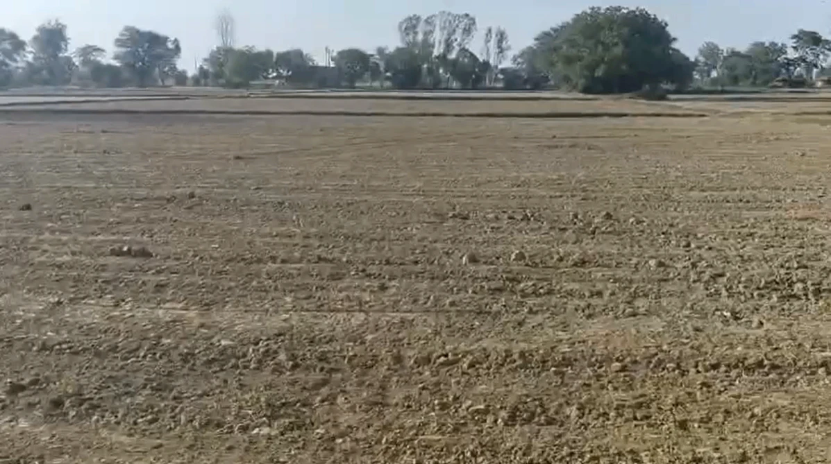 VJQ3+3CR, Jaipur, Badke Balaji - Dhankia Rd, Jaisinghpura Kankroda, Rajasthan 302041, India