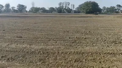 VJQ3+3CR, Jaipur, Badke Balaji - Dhankia Rd, Jaisinghpura Kankroda, Rajasthan 302041, India preview 3