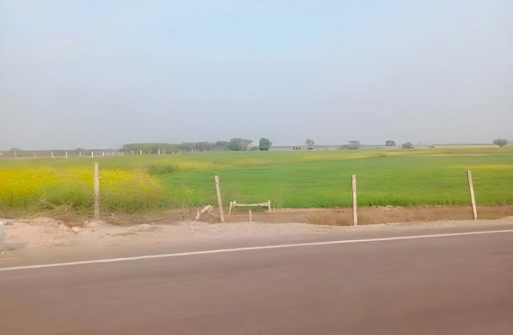 Khedapati Balaji Marg, Rajasthan 303006, India