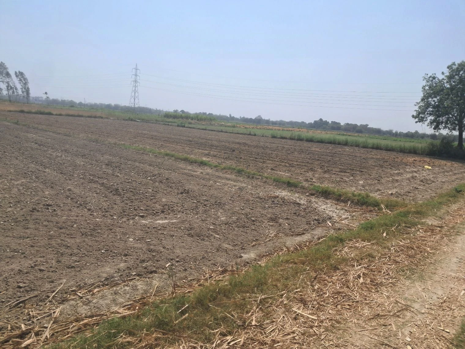 Q545+VC4, IET Campus Rd, I.E.T. Campus, Faizabad, Uttar Pradesh 224133, India