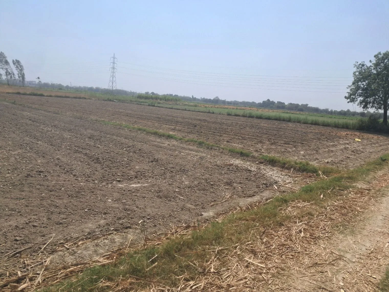 Q545+VC4, IET Campus Rd, I.E.T. Campus, Faizabad, Uttar Pradesh 224133, India