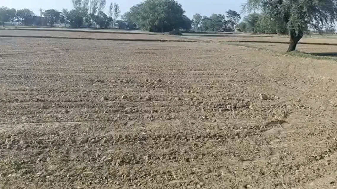 5W5J+593, Sangawala, Rajasthan 303002, India