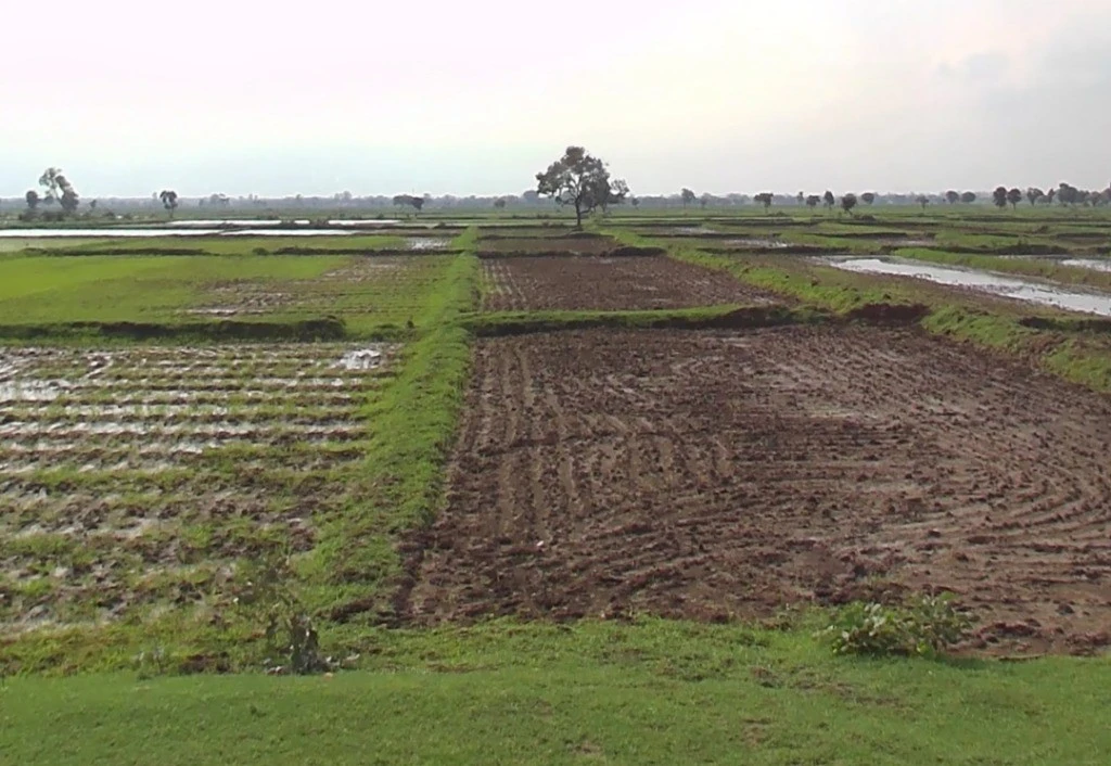 Raiyarao, Madhya Pradesh, India