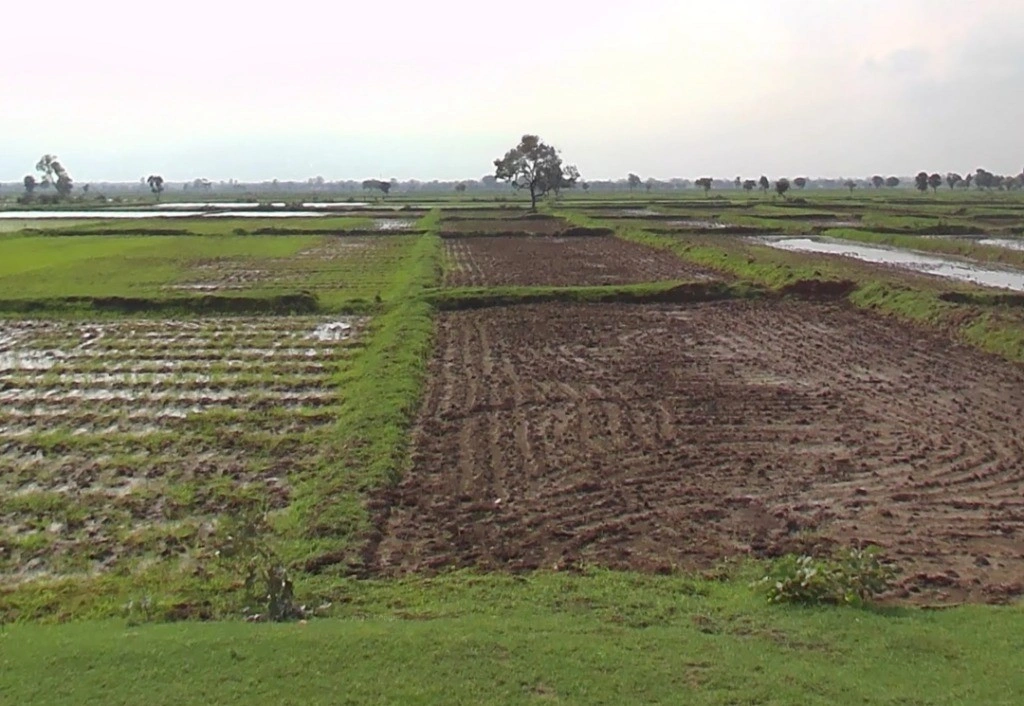 Raiyarao, Madhya Pradesh, India