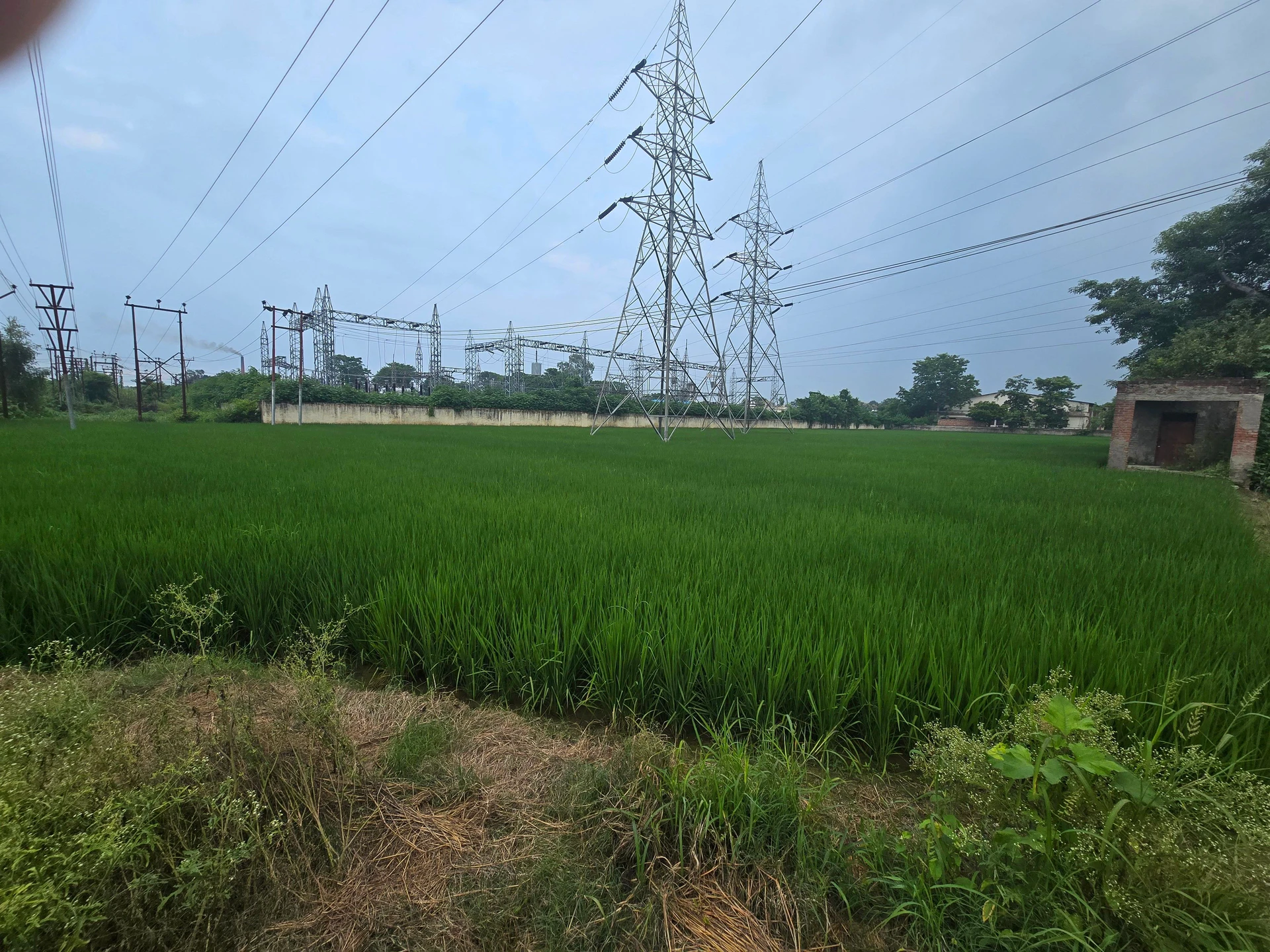 Rani Nagal, Udham Singh Nagar, Uttarakhand 262401, India
