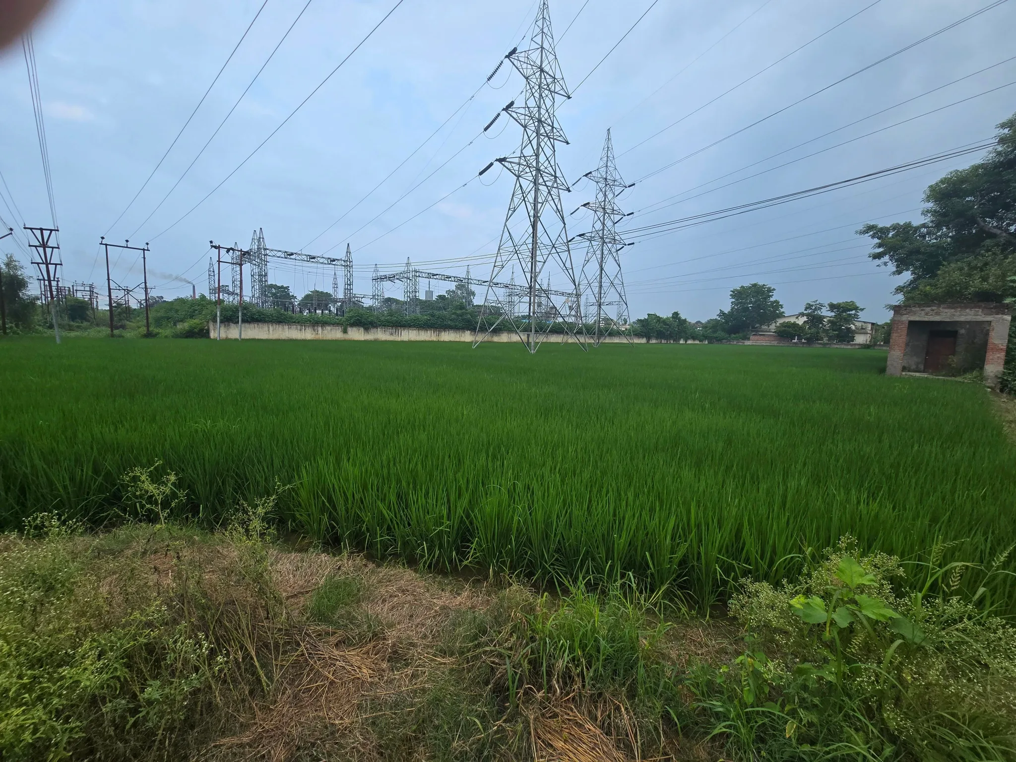 Rani Nagal, Udham Singh Nagar, Uttarakhand 262401, India