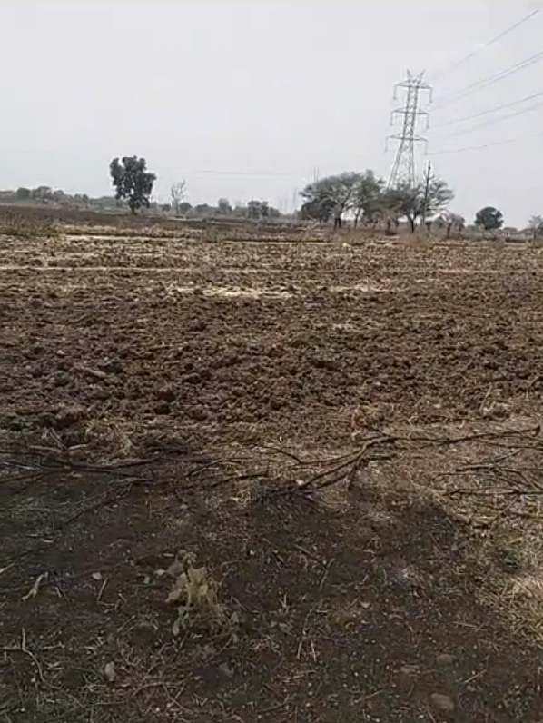 VQXV+89 Bhindoosi, Khairthal-Tijara, Rajasthan, India