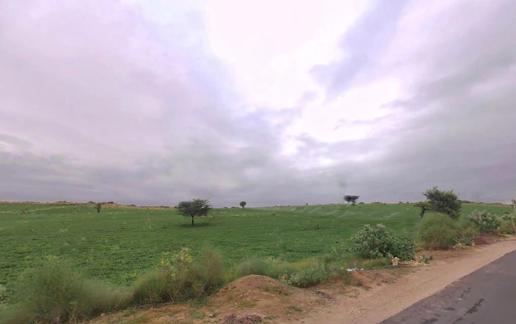 Sherera, Rajasthan 334022, India