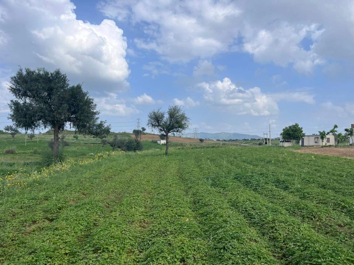 WMJC+W5C, Barau Rd, Rasoolpur, Rajasthan 333020, India