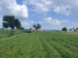 WMJC+W5C, Barau Rd, Rasoolpur, Rajasthan 333020, India preview 3