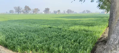 5QW8+PPH, Kharkhada, Dharuhera, Haryana 123106, India preview 2