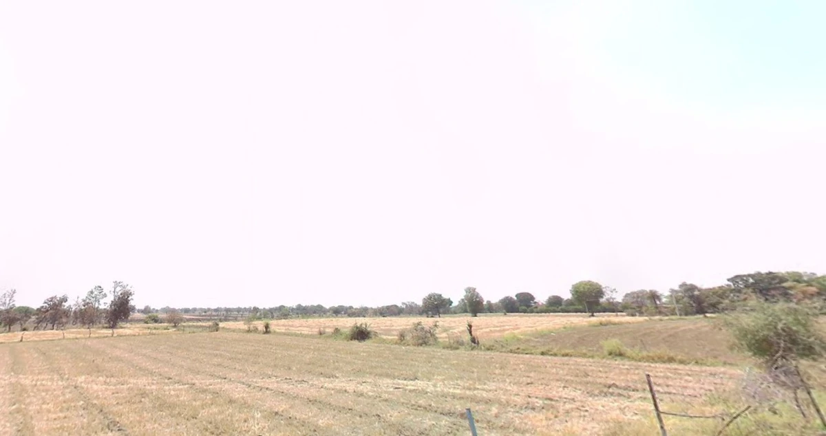 Jamua, Madhya Pradesh 486666, India