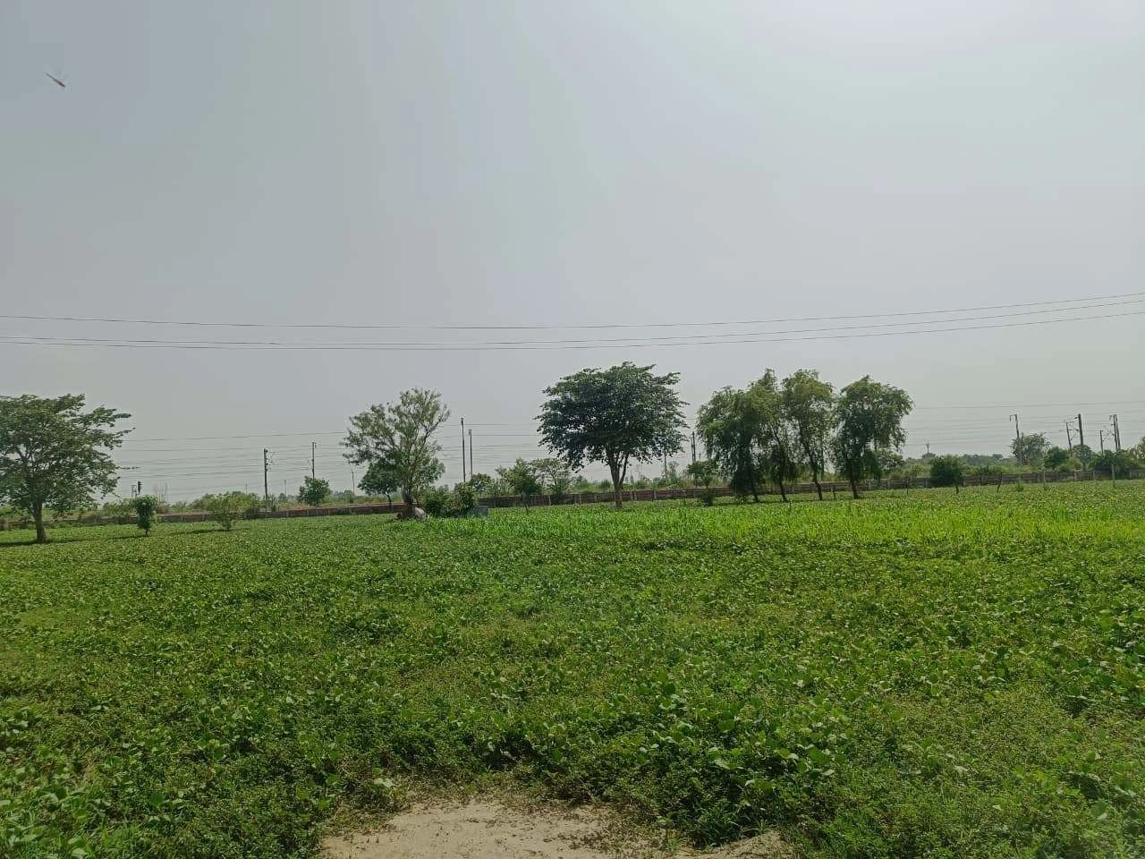 Gauhari, Uttar Pradesh 281401, India preview 2
