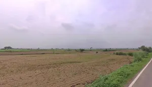 M3XV+JG2, Burana, Rajasthan 321404, India preview 2