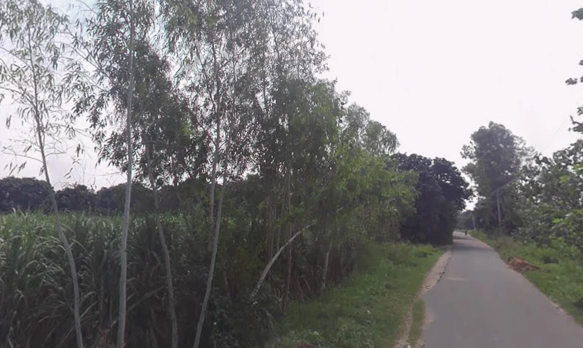 Behsuma, Uttar Pradesh 250401, India