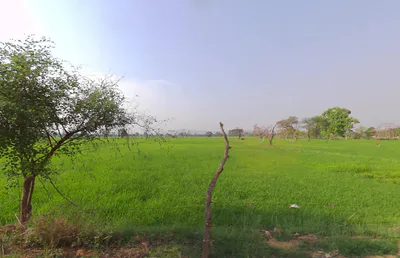 Pirda-2, Chhattisgarh 493111, India preview 2