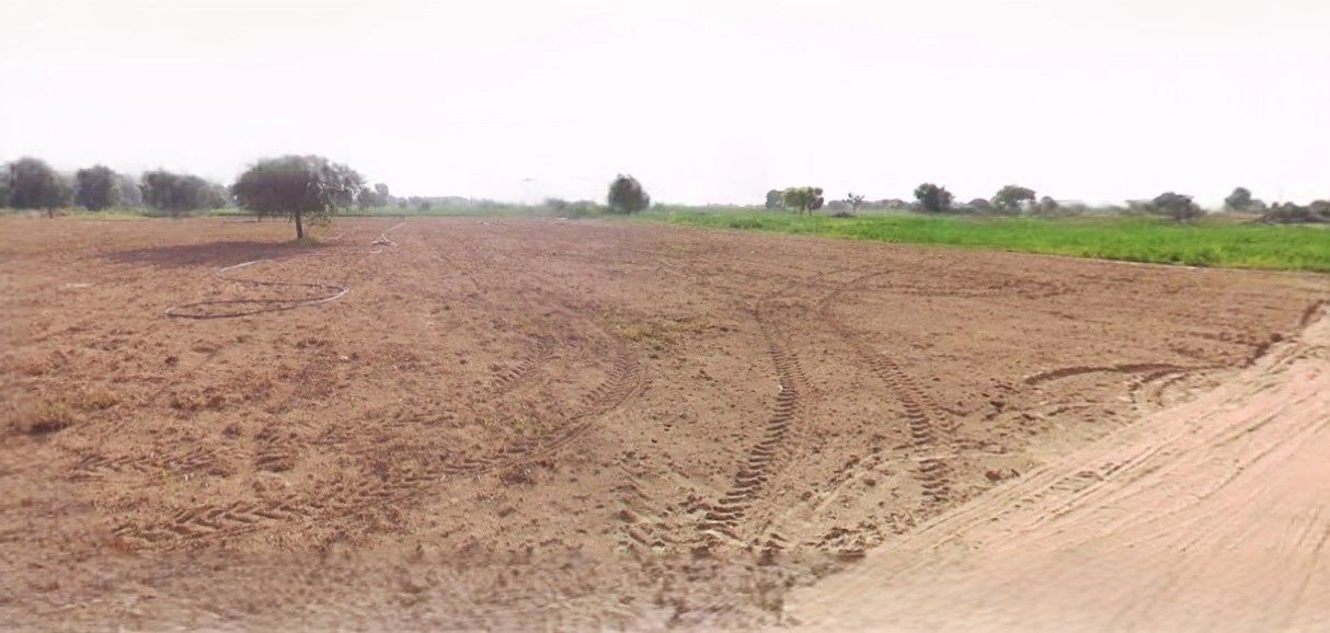 Barnagar, Madhya Pradesh 456771, India