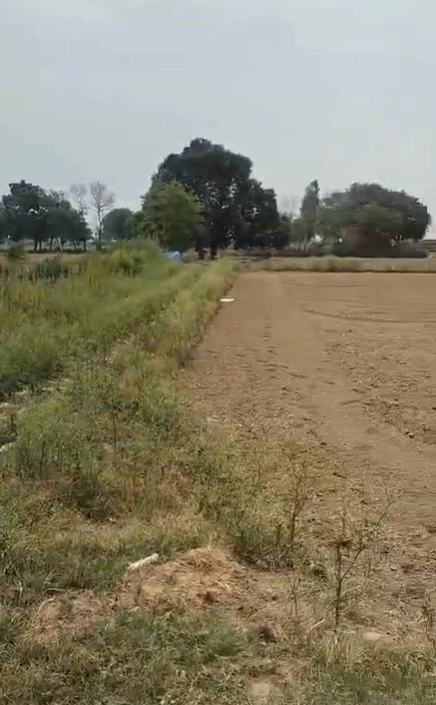 Kathwala, Yamunanagar, Haryana 135003, India