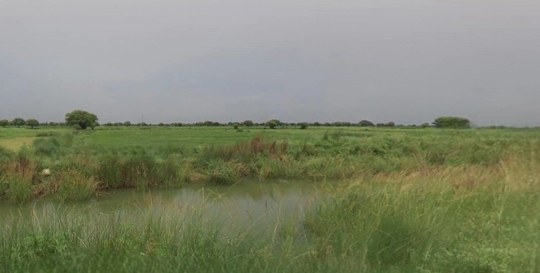 Muskura, Uttar Pradesh, India