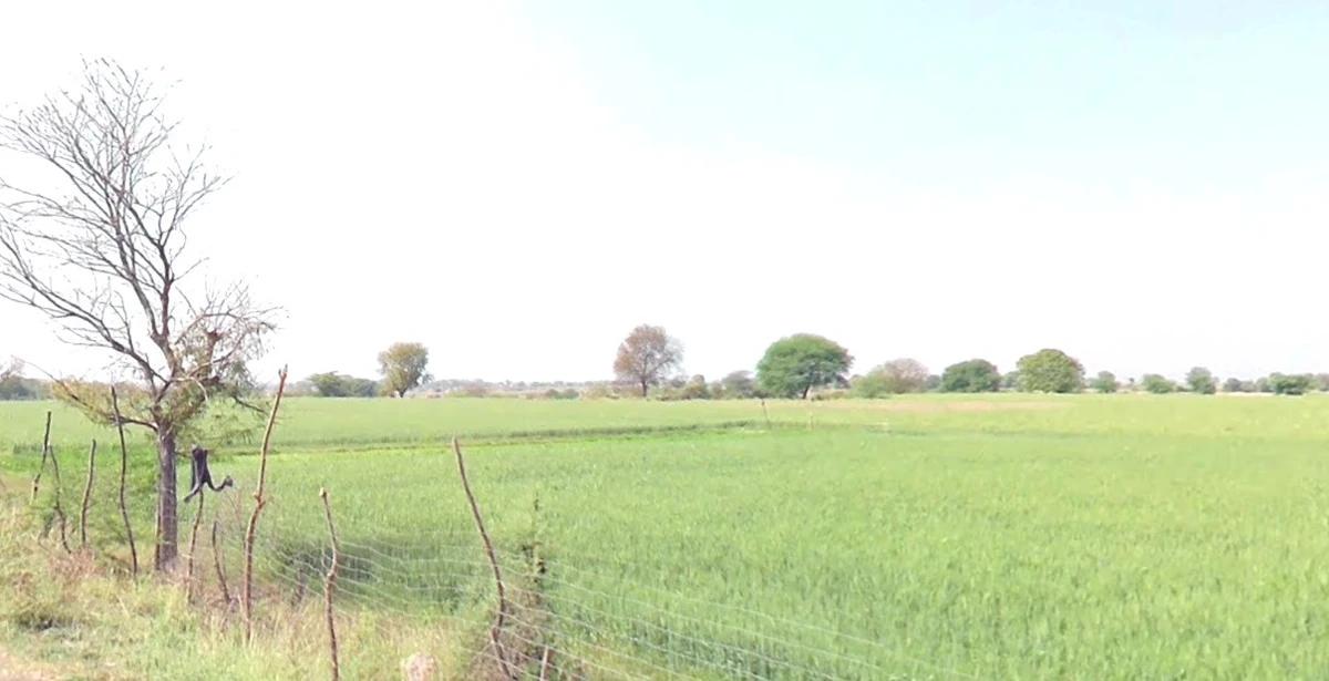 Amjhira, Madhya Pradesh 462022, India