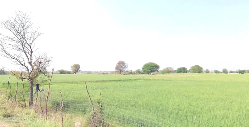 Amjhira, Madhya Pradesh 462022, India preview 3