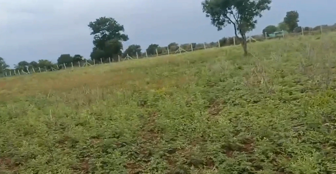 F232+MR5, Vikarabad, Madireddipalle, Telangana 501111, India