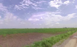 Sikar, Rajasthan, India preview 2