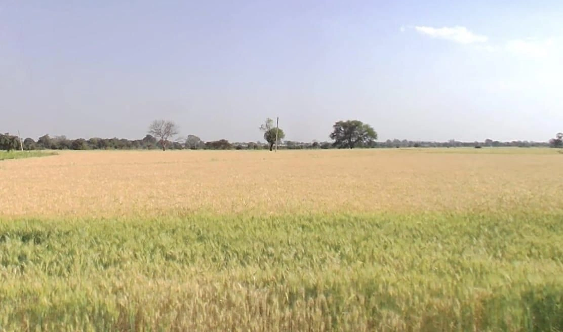 Pithampur Industrial Area, Pithampur, Madhya Pradesh, India