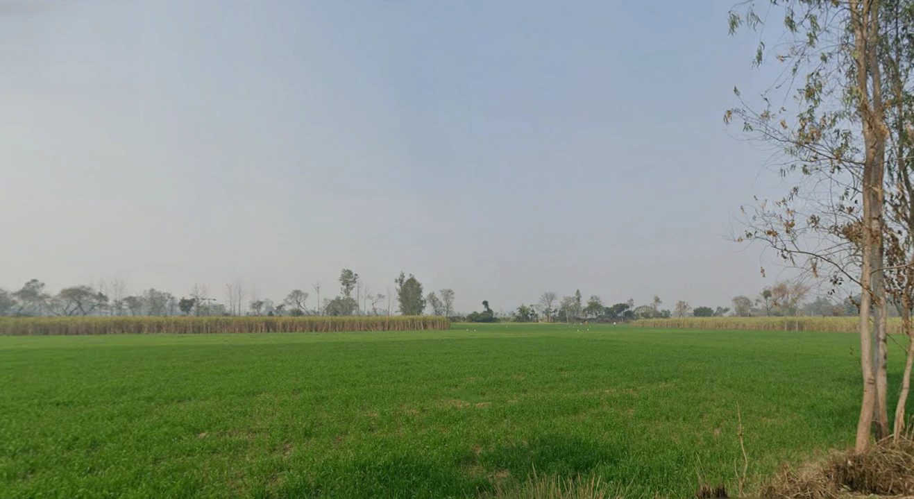 Bhagwanpur, Uttarakhand 247661, India