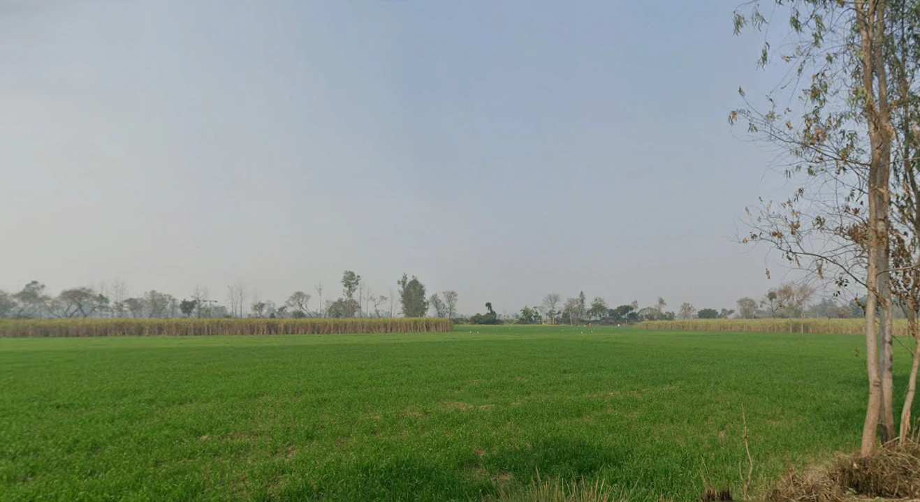 Bhagwanpur, Uttarakhand 247661, India