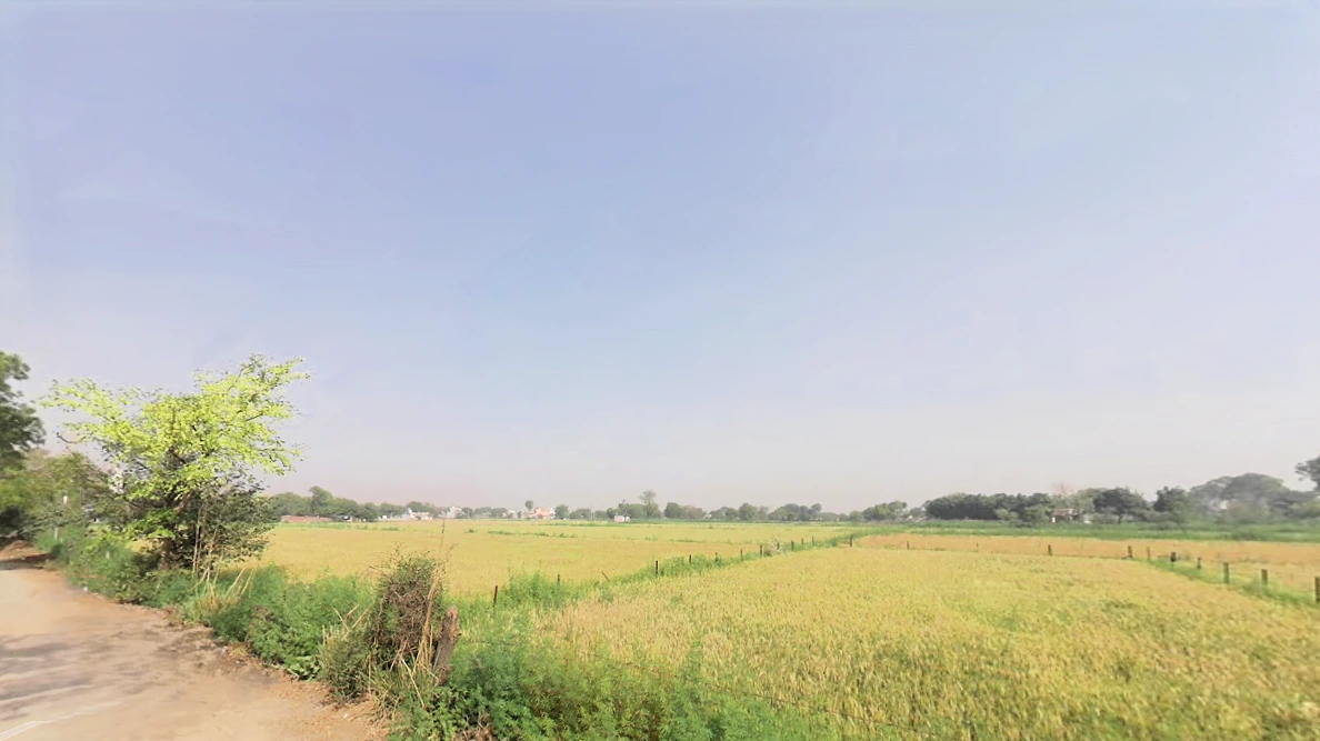 Faridpur, Sector 78, Faridabad, Haryana, India