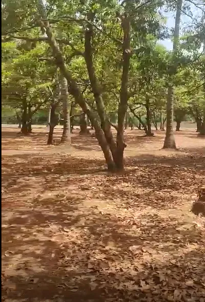 3VC2+5QQ, Aligarh, Chandaus, Uttar Pradesh 202132, India preview 2