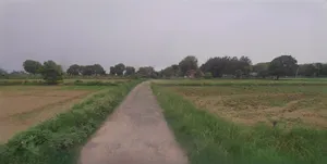 Barnagar, Madhya Pradesh 456771, India preview 2