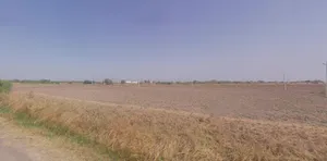 5VPM+32 Jarvala, Gujarat, India preview 3