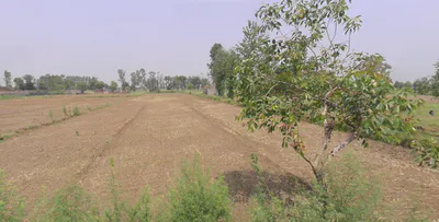 Siyana, Uttar Pradesh 203412, India preview 3