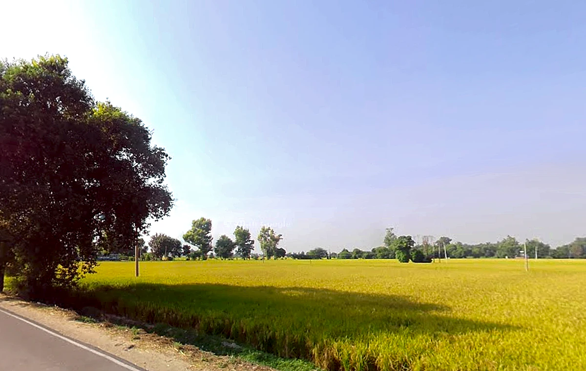 Jiwan Nagar, Haryana 125075, India