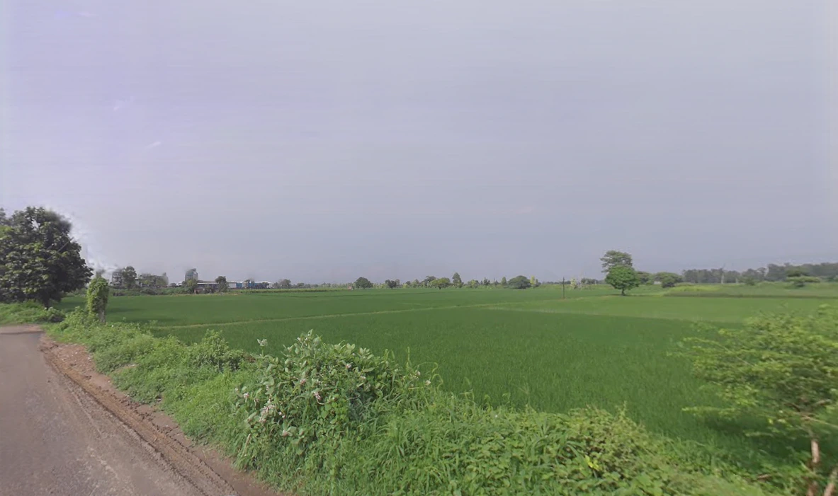 Chaudhariwas, Haryana 125007, India