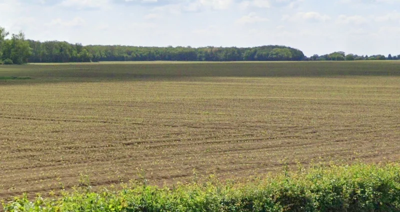 Bari, Madhya Pradesh 464668, India preview 3