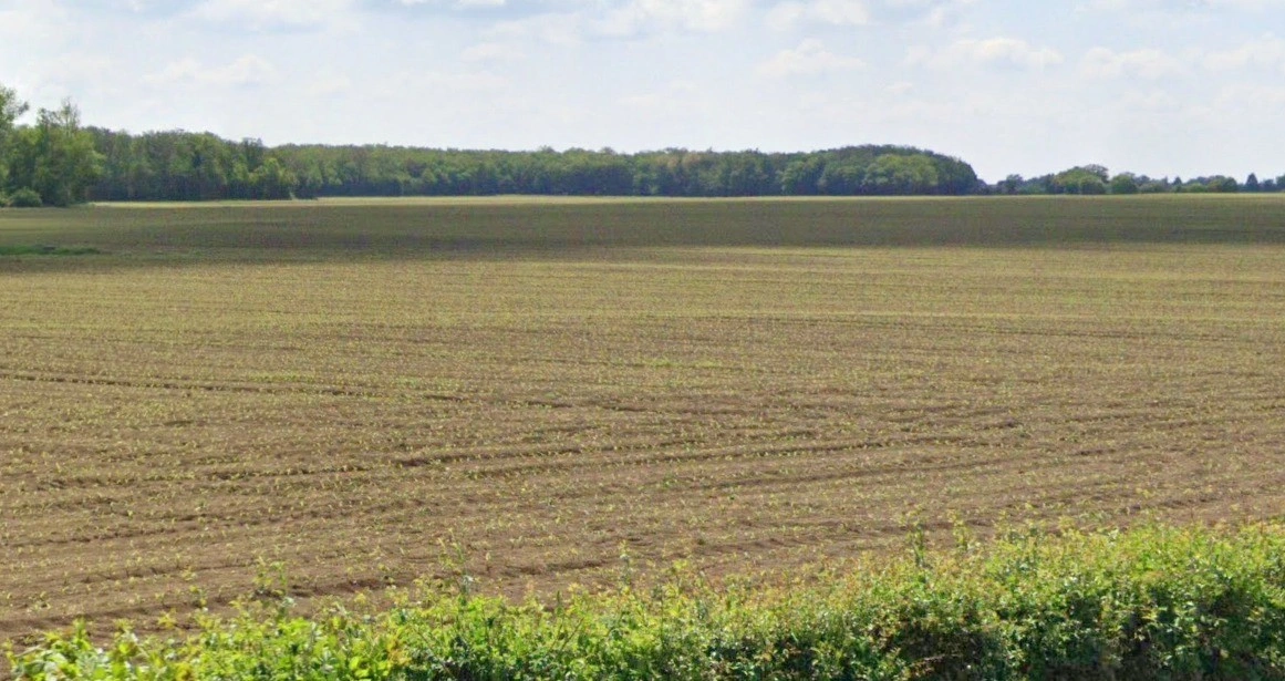 Bari, Madhya Pradesh 464668, India