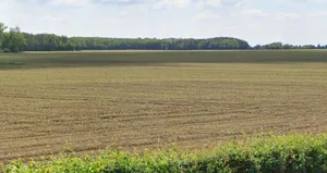 Bari, Madhya Pradesh 464668, India preview 3