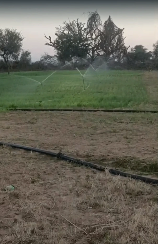 8493+9XM, Khorandi, Rajasthan 341519, India