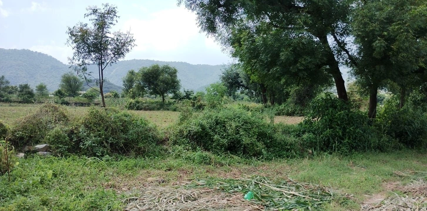 Badka, Rajasthan, India