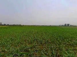 Sardhana, Uttar Pradesh 250342, India preview 3