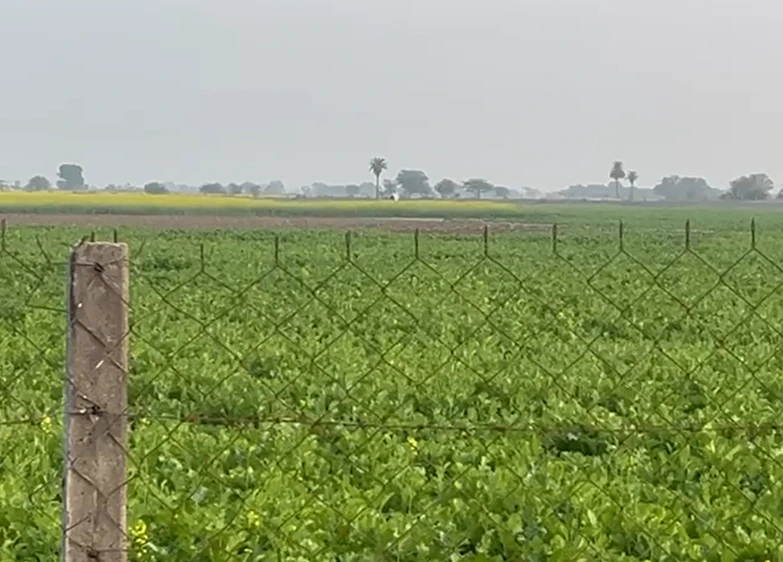 W2GX+WV Kheri, Rajasthan, India