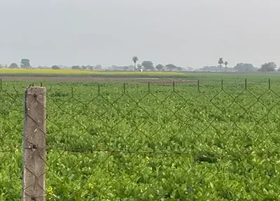 W2GX+WV Kheri, Rajasthan, India preview 2