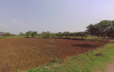 Bohardih, Chhattisgarh 493225, India preview 2